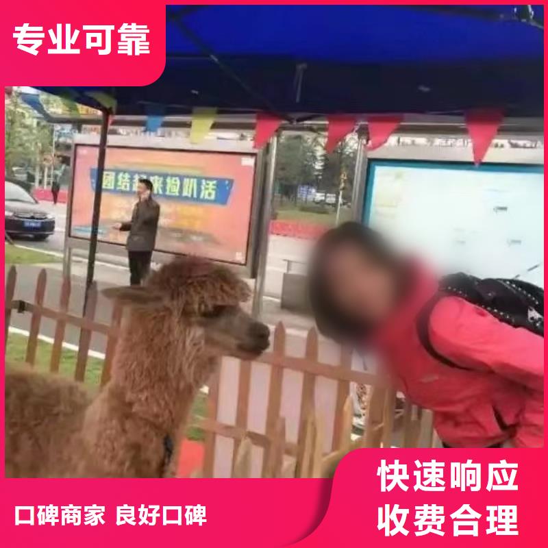 馬戲團/羊駝【企鵝演出】質優價廉