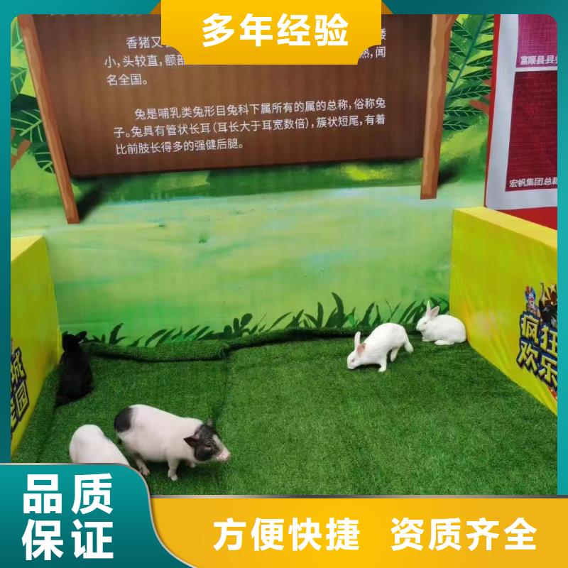 马戏团/羊驼美人鱼表演实力团队