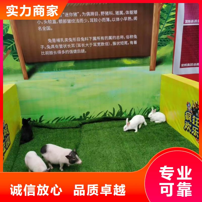 馬戲團表演出租圖片