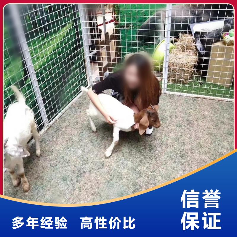 動物表演出租一手資源