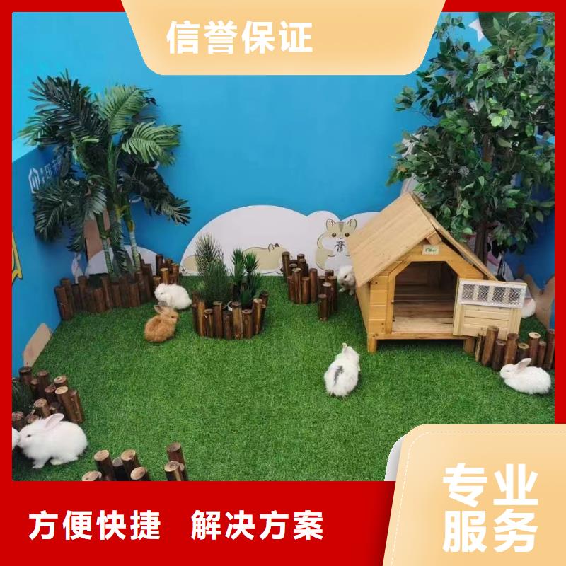 馬戲團表演出租圖片