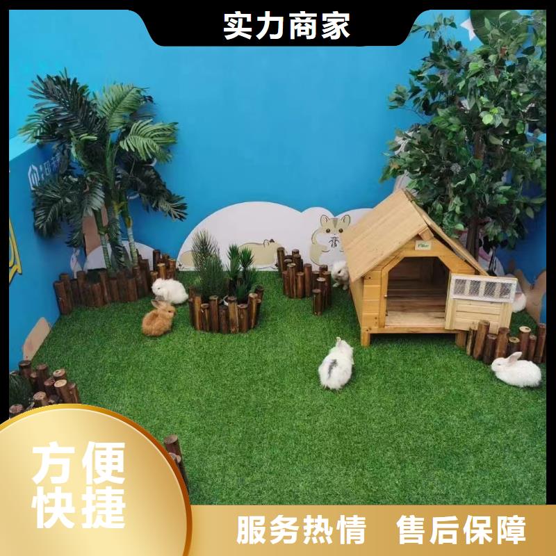 羊駝租賃價(jià)格