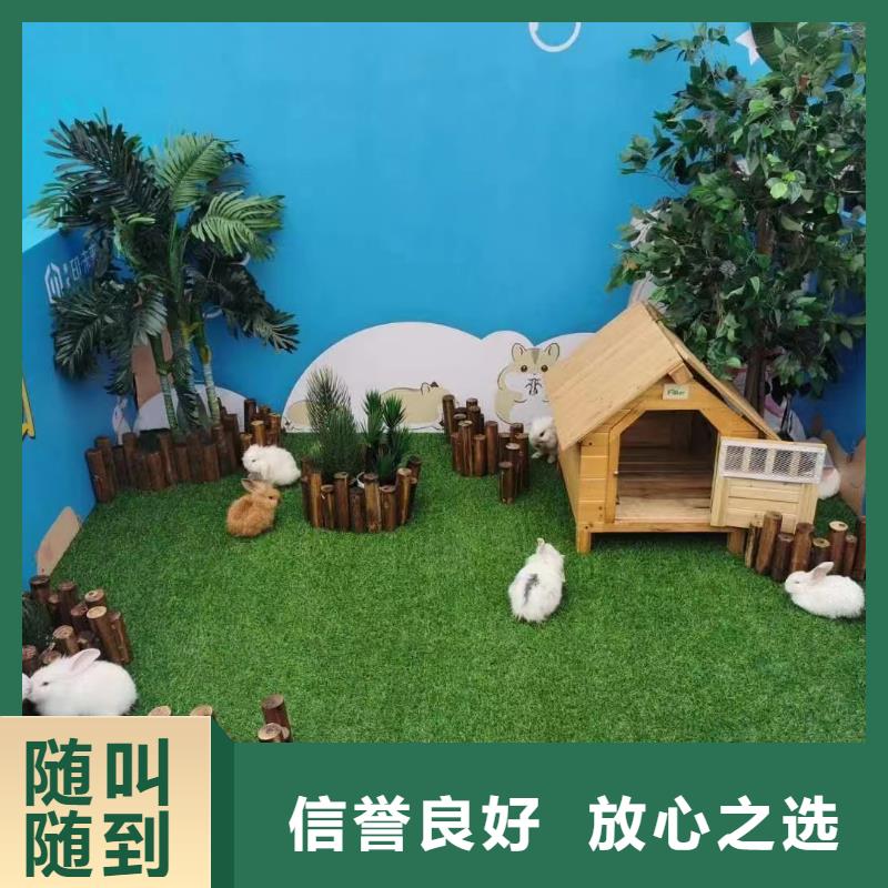 马戏团/羊驼鹦鹉表演2025公司