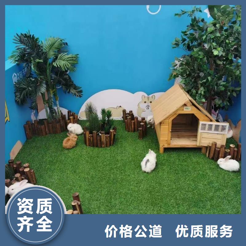 马戏团/羊驼海狮表演出租从业经验丰富