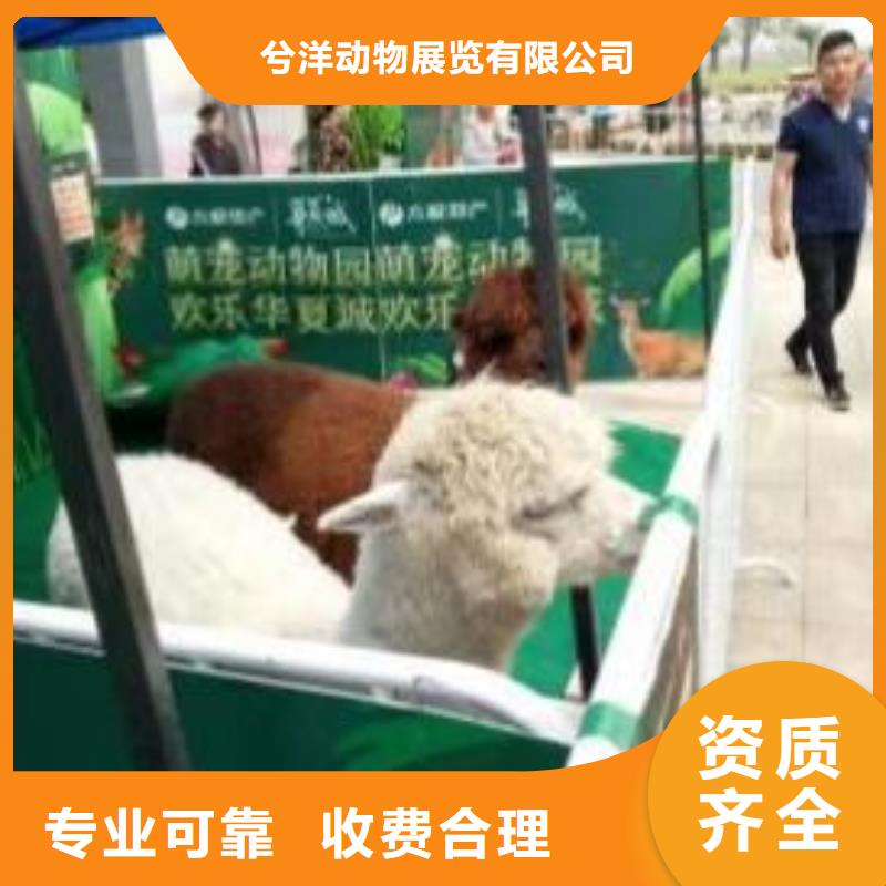 馬戲團/羊駝美人魚表演信譽良好