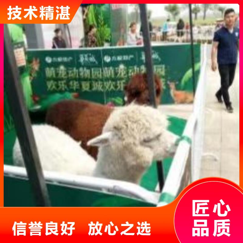 萌寵展出租聯(lián)系方式