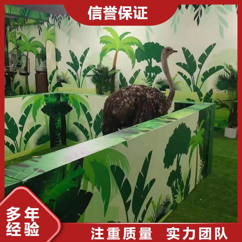 馬戲團出租表演