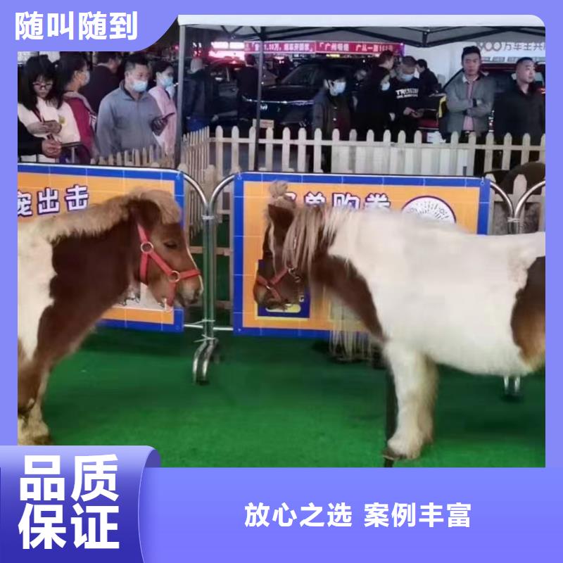 馬戲團表演出租圖片