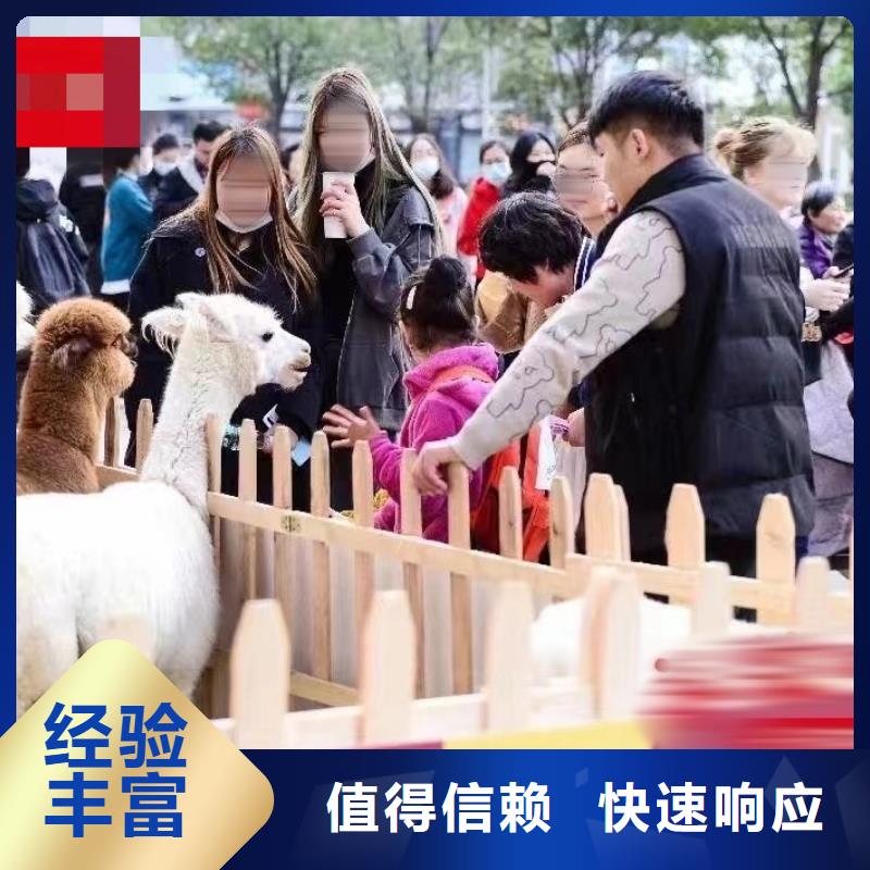 馬戲團(tuán)/羊駝,水族海洋展隨叫隨到