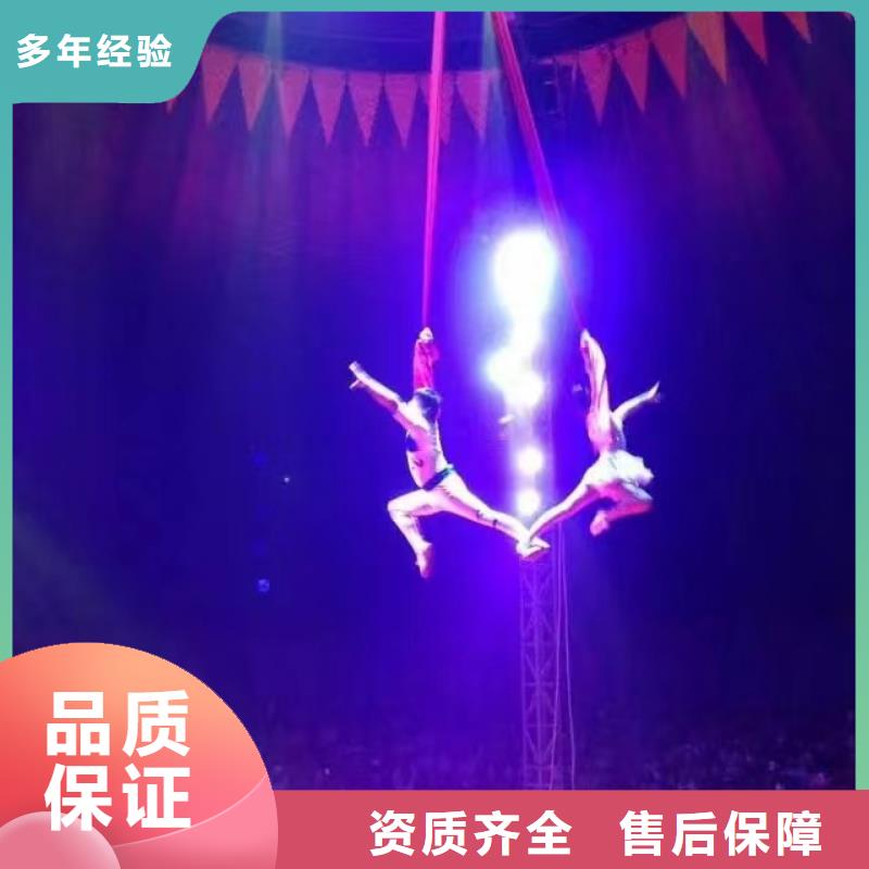 馬戲團(tuán)/羊駝-租賃美人魚(yú)表演有實(shí)力