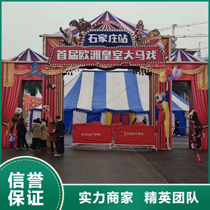 马戏团/羊驼_海狮表演出租良好口碑