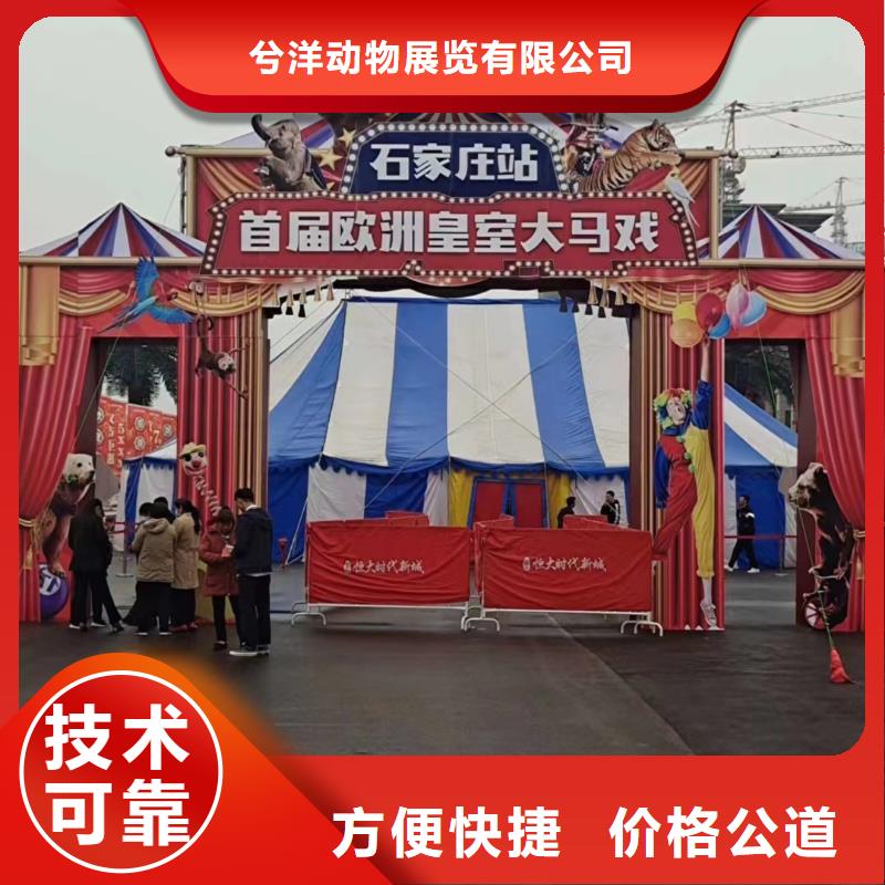 附近羊駝出租公司