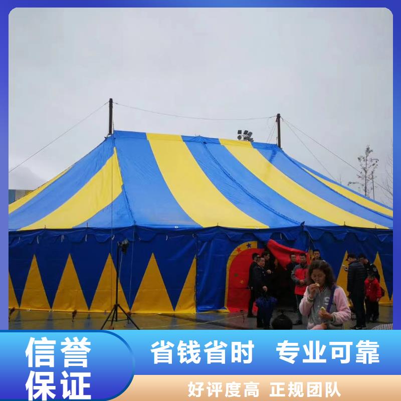 马戏团/羊驼马戏团表演团队