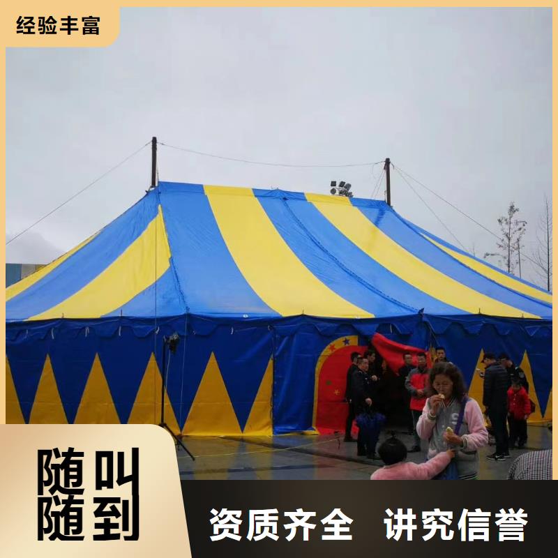 马戏团/羊驼,海狮表演出租免费咨询