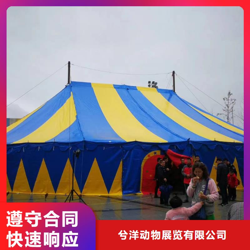 馬戲團/羊駝-海獅表演出租講究信譽