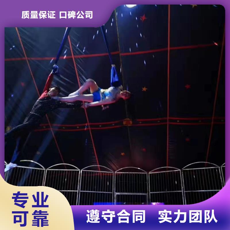 出租馬戲團表演創(chuàng)意方案