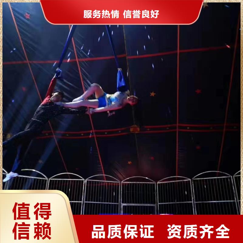 马戏团/羊驼美人鱼表演实力团队