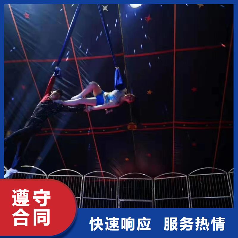 馬戲團/羊駝 馬戲團表演出租租賃服務至上