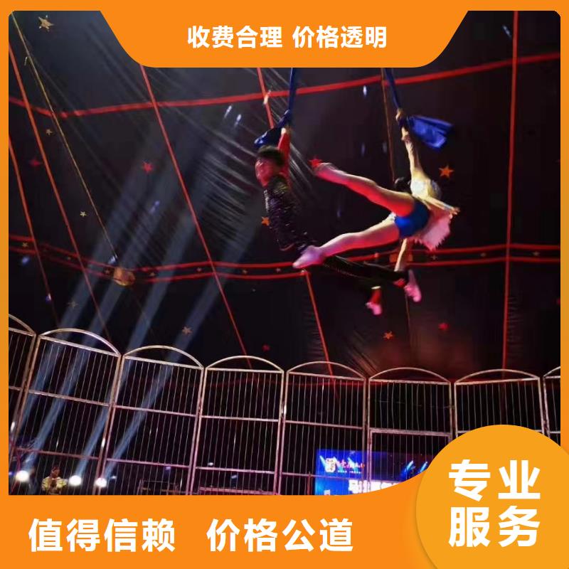 馬戲團/羊駝【馬戲團表演出租租賃】實力團隊