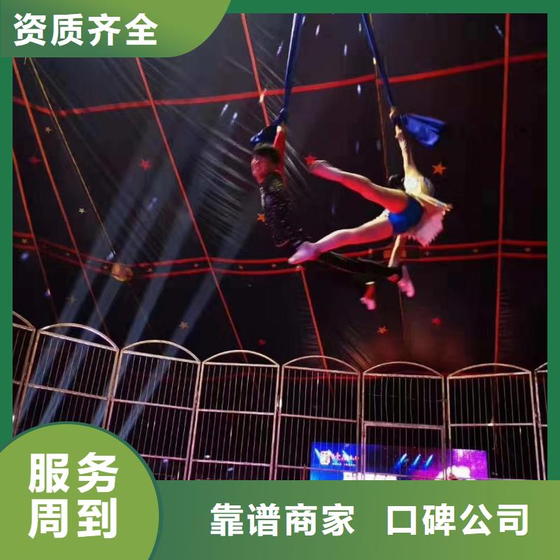 海狮表演出租视频-海狮表演出租|黄冈市|罗田|蕲春|随州|襄阳|咸宁|恩施