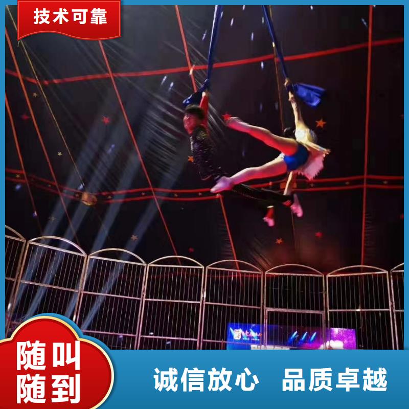 马戏团/羊驼_海狮表演出租良好口碑