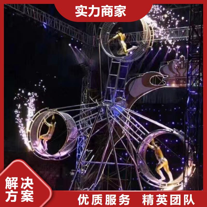 【馬戲團/羊駝動物展覽秀品質服務】