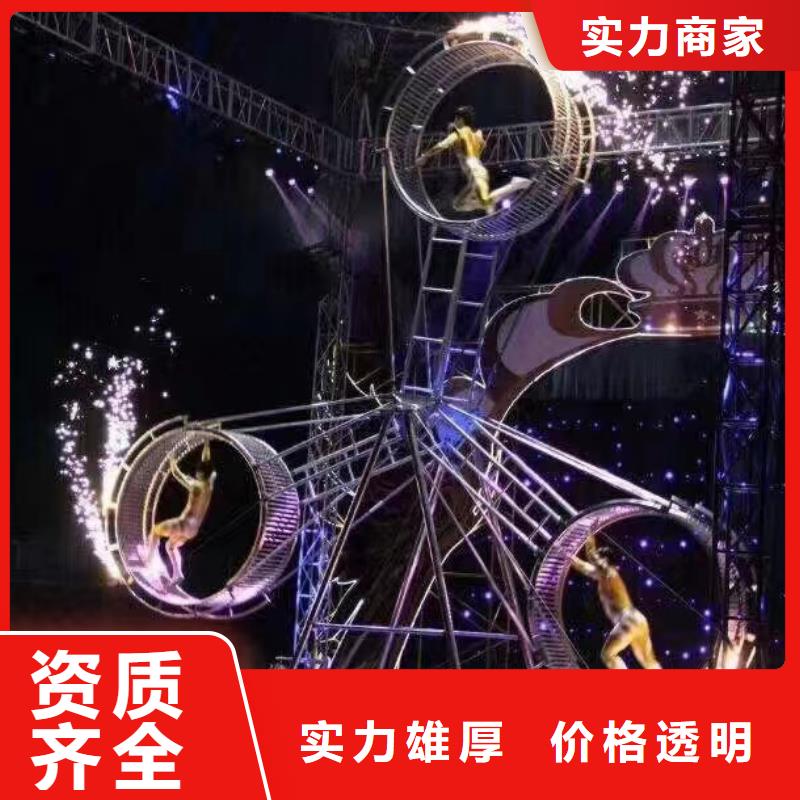 馬戲團/羊駝【企鵝租賃】服務熱情