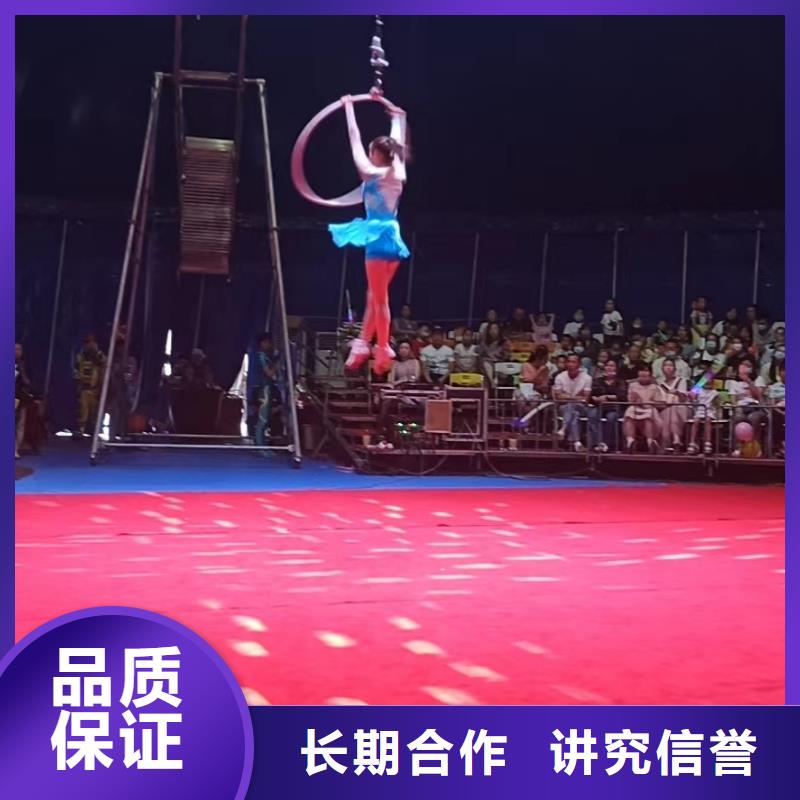 【馬戲團/羊駝_【海獅表演租賃】多年經驗】