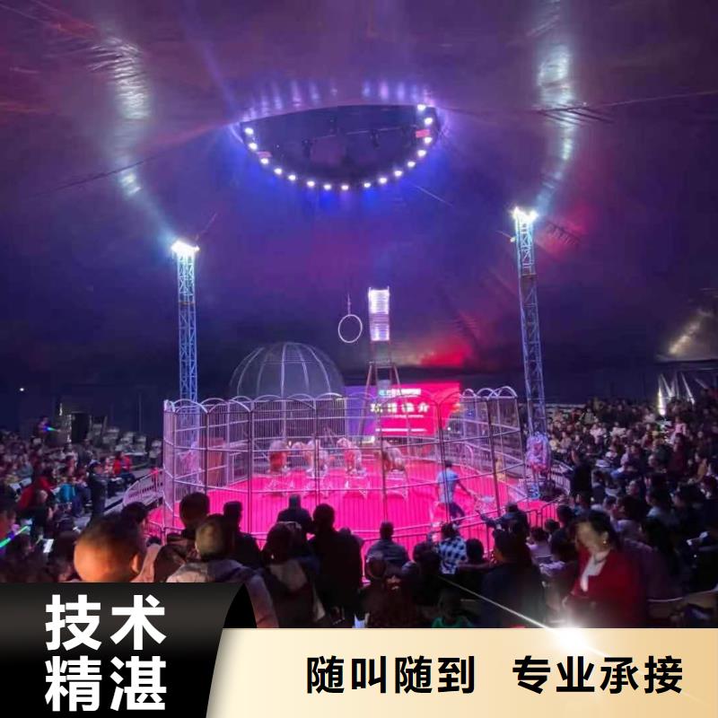 馬戲團表演出租圖片