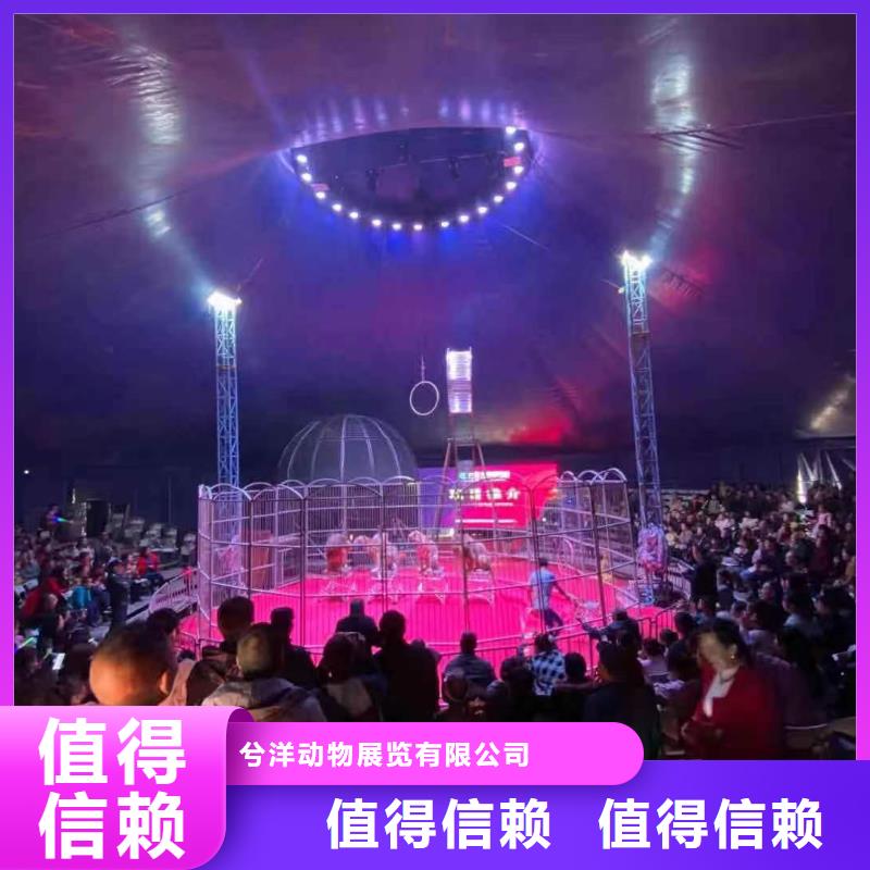 羊駝出租
