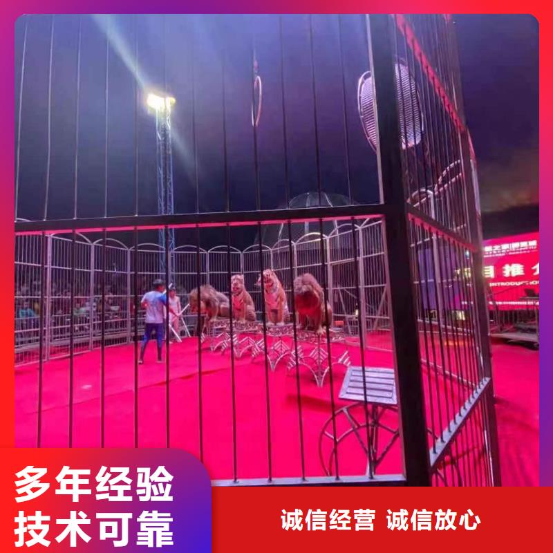哪里有租賃羊駝的價格歡迎來電