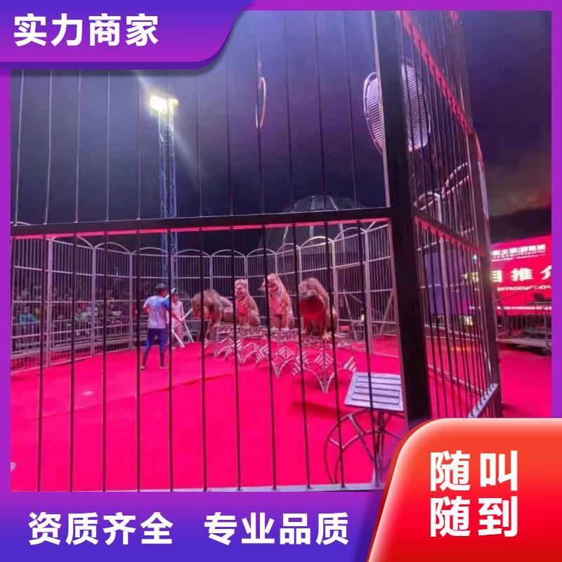 馬戲團/羊駝水族海洋展實力商家