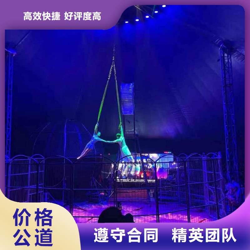 【馬戲團/羊駝】小香豬寵物出租隨叫隨到