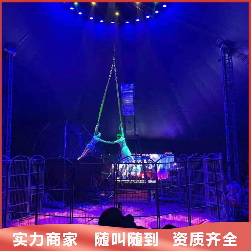 馬戲團/羊駝,出租馬戲表演快速響應