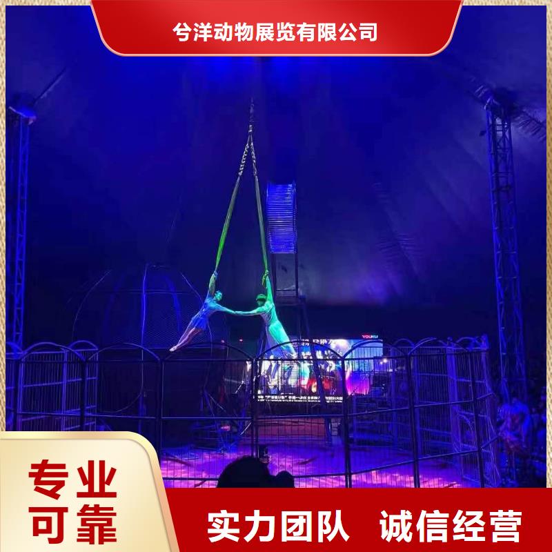 馬戲團表演出租房地產活動