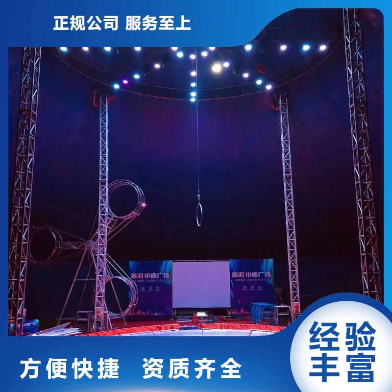 周邊羊駝租賃公司
