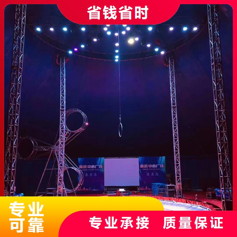 【马戏团/羊驼 海狮表演租赁2025公司】