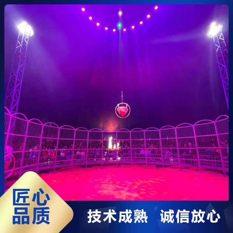 马戏团/羊驼动物表演出租质优价廉