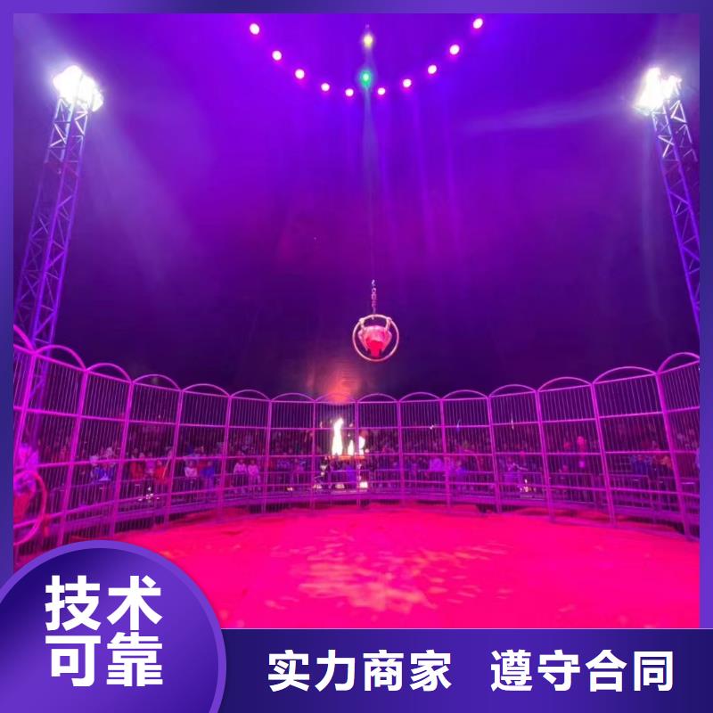 马戏团/羊驼海狮表演出租从业经验丰富
