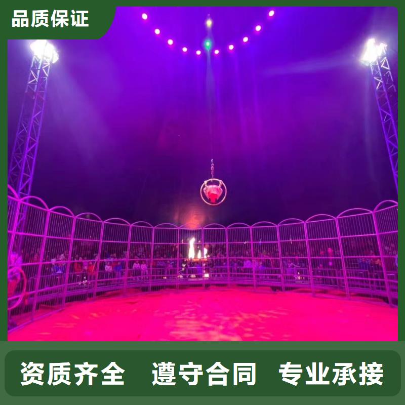 馬戲團/羊駝鸚鵡表演出租技術比較好