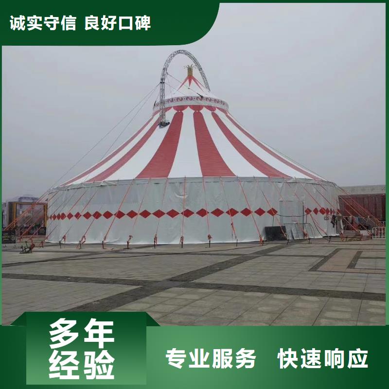 馬戲團/羊駝動物雜技表演租賃實力雄厚