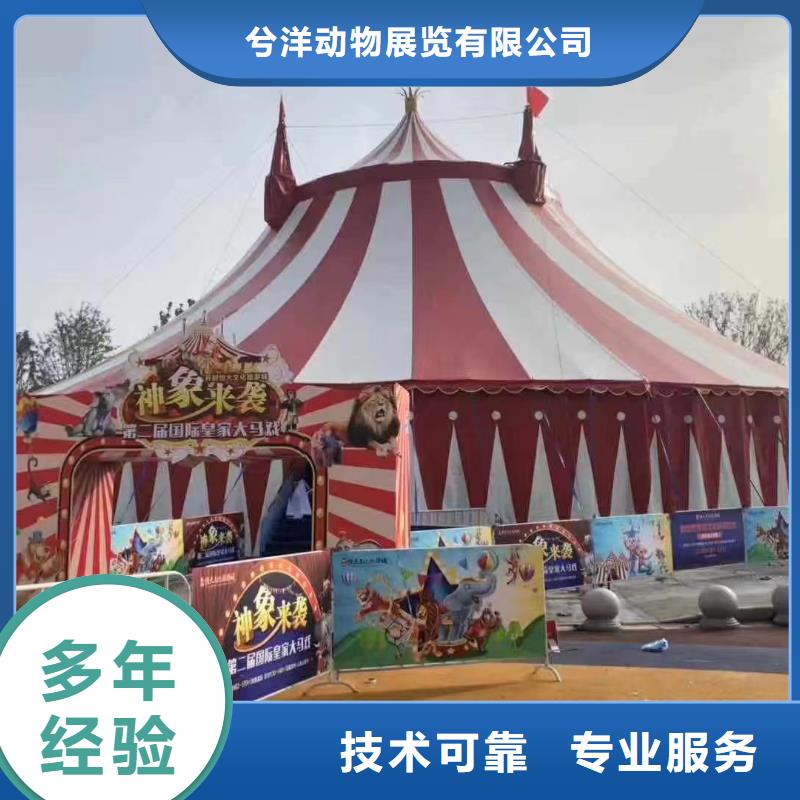 馬戲團/羊駝 動物表演租賃誠實守信