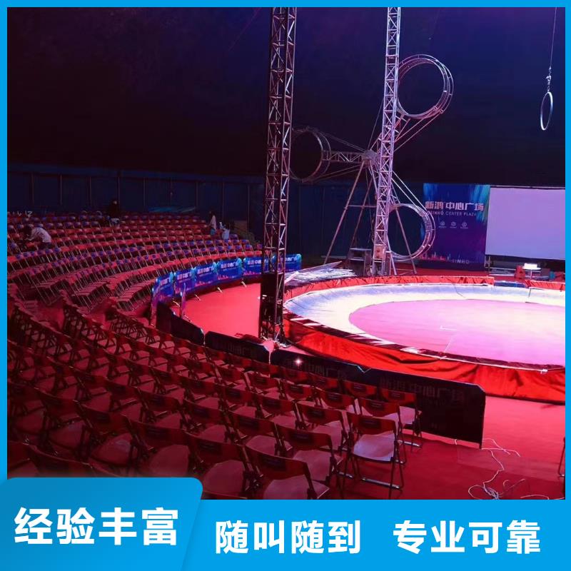 马戏团/羊驼海洋展租赁好评度高