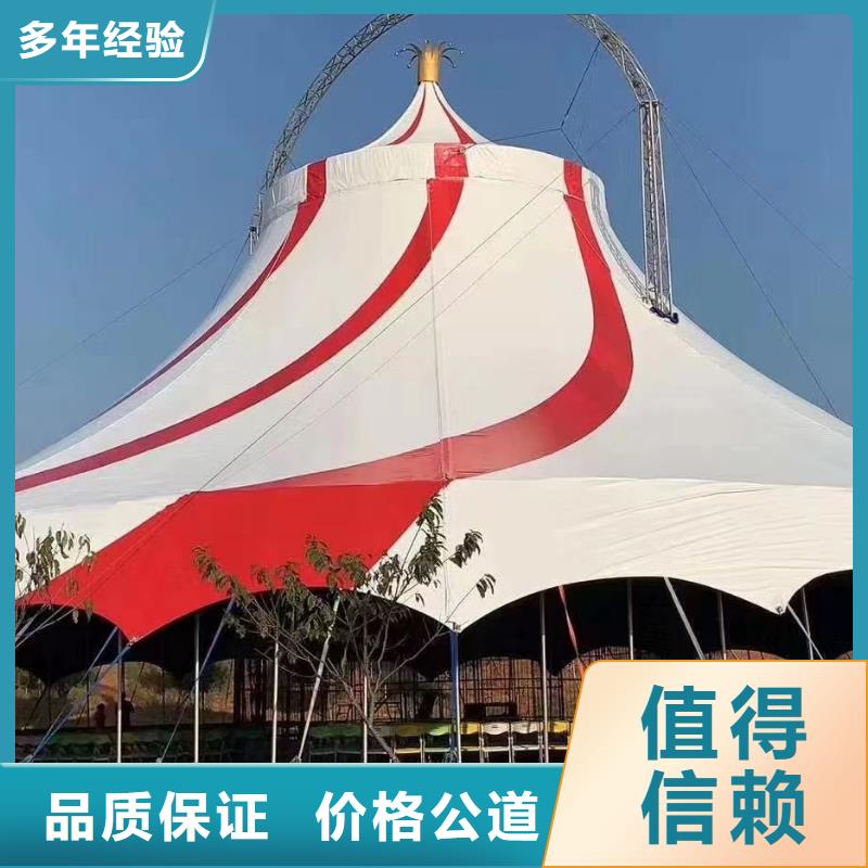 馬戲團/羊駝_出租企鵝專業可靠