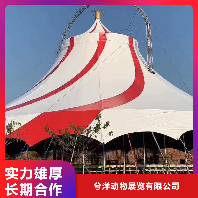 萌寵展出租聯系方式