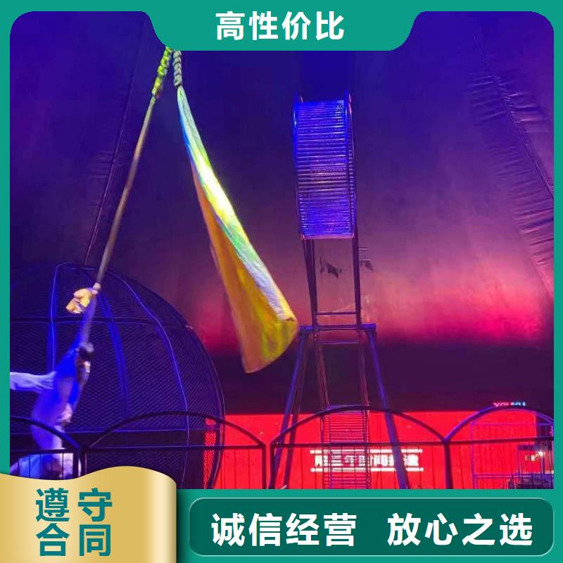 马戏团/羊驼-死轮表演技术好