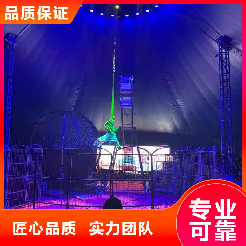 馬戲團(tuán)/羊駝鸚鵡表演出租快速響應(yīng)