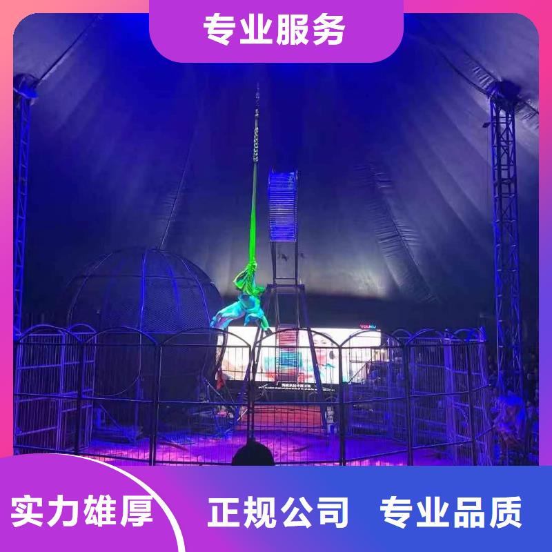 馬戲團(tuán)/羊駝,海獅表演出租免費(fèi)咨詢