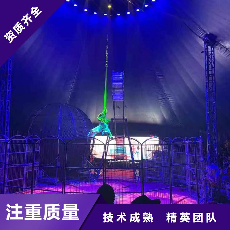 马戏团/羊驼-死轮表演技术好