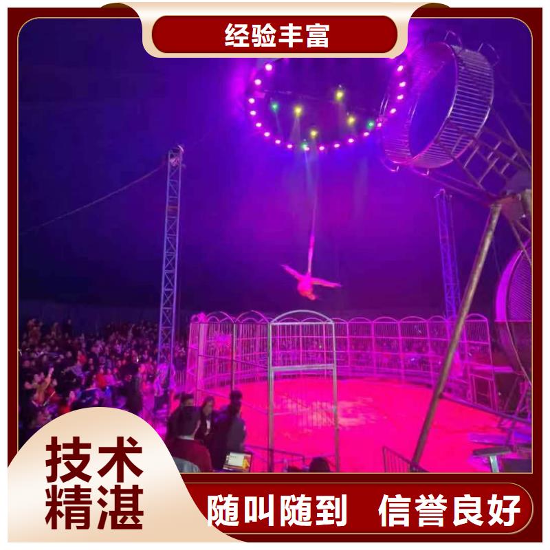 马戏团/羊驼-表演动物出租收费合理